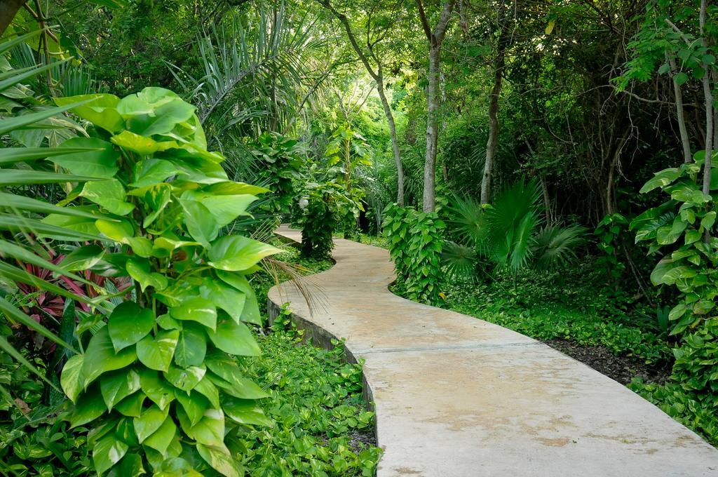 Amarte Maroma Hotel Eco Boutique Spa Punta Maroma Экстерьер фото