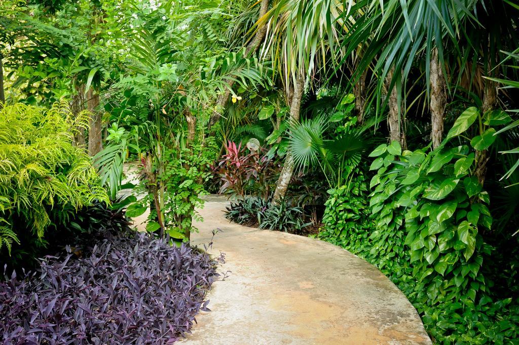 Amarte Maroma Hotel Eco Boutique Spa Punta Maroma Экстерьер фото